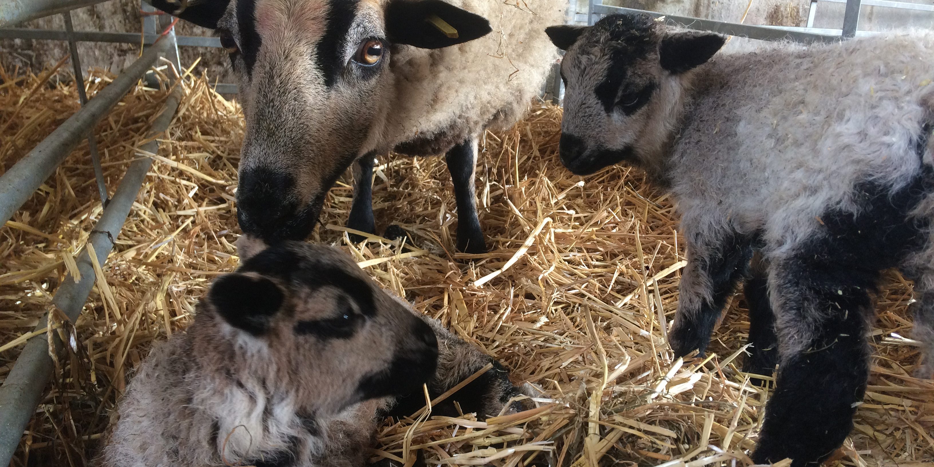 0CE5E56B-7D7A-4FBA-9EE7-AF307EA7F52E