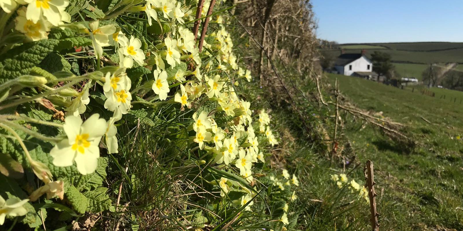 PHOTO-2020-03-26-12-38-04